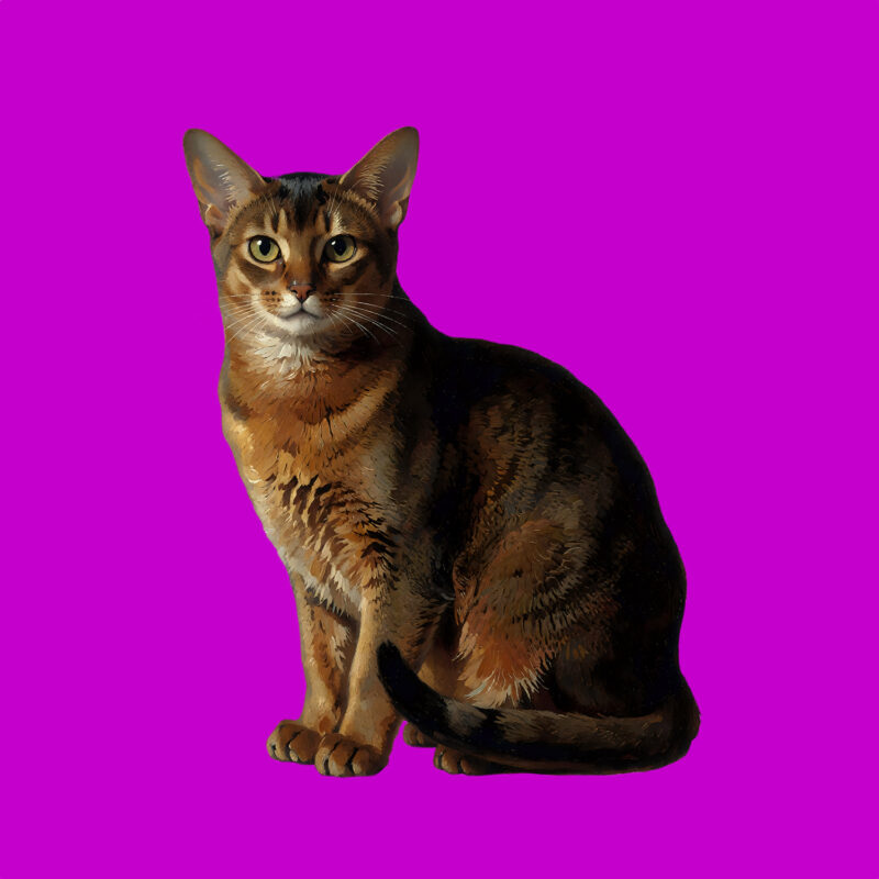 25 Cat Breeds gallery image